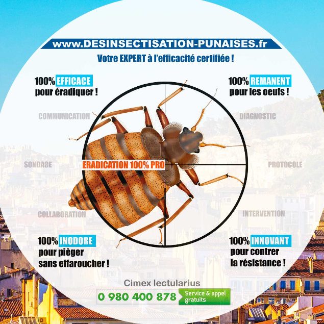 Cercle avec la description d'un insecte parasite et des informations de désinfection.