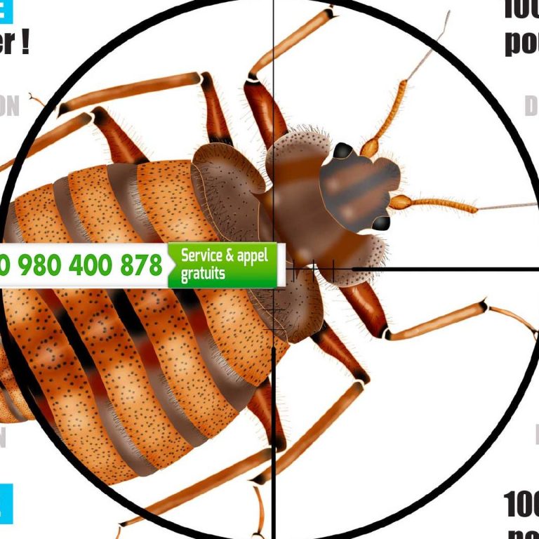 Punaise dans une mire de tireur, avec un numéro de service affiché.