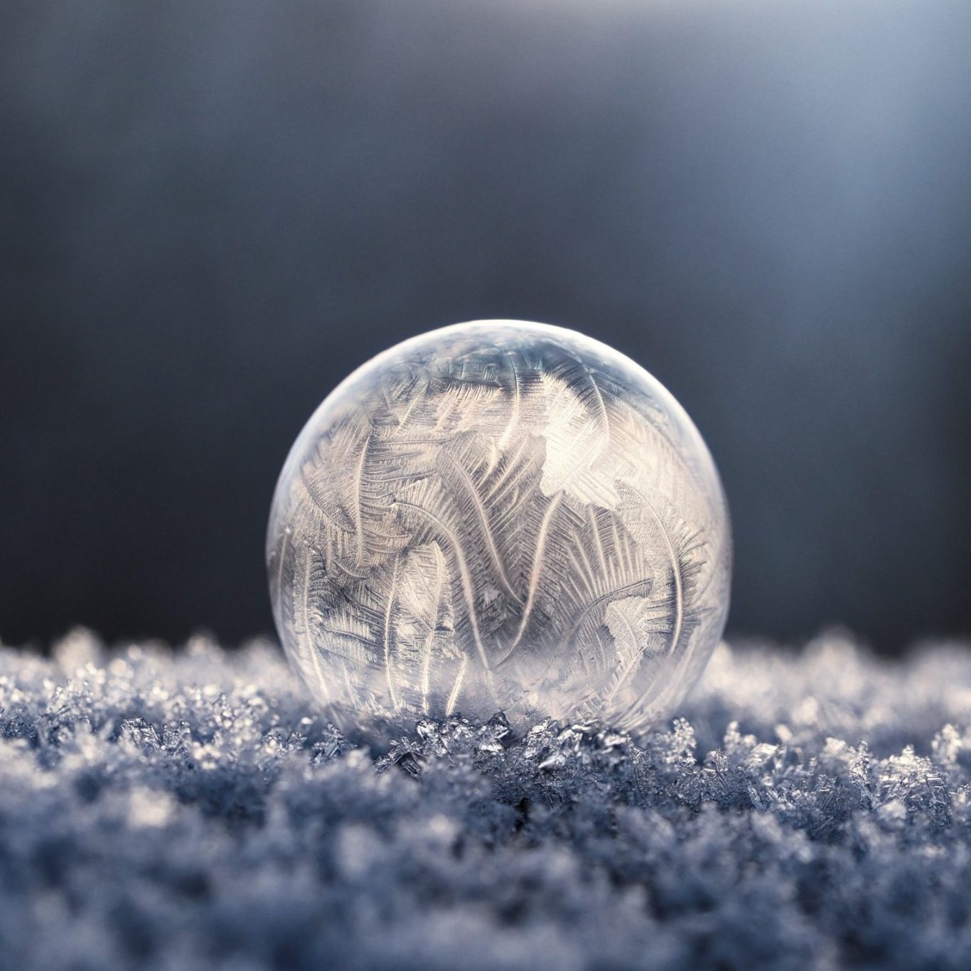 Bulle de glace transparente sur un fond de neige, avec des motifs givrants délicats.